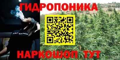 apvp Краснодар
