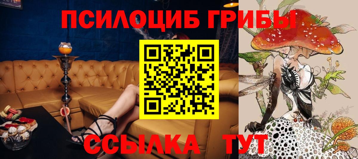 Гусь-Хрустальный  наркота  Вход с VPN  Псилоцибиновые грибы Cubensis 
