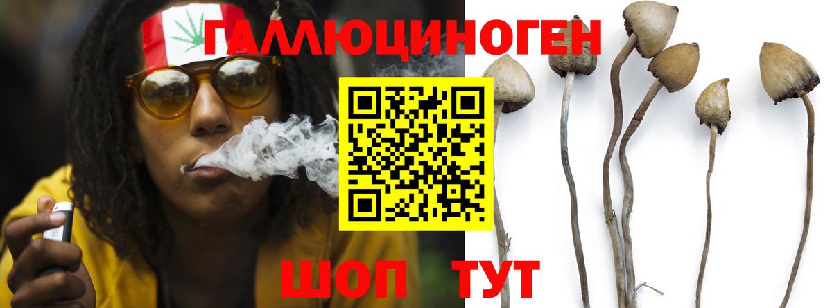 Псилоцибиновые грибы прущие грибы Гусь-Хрустальный